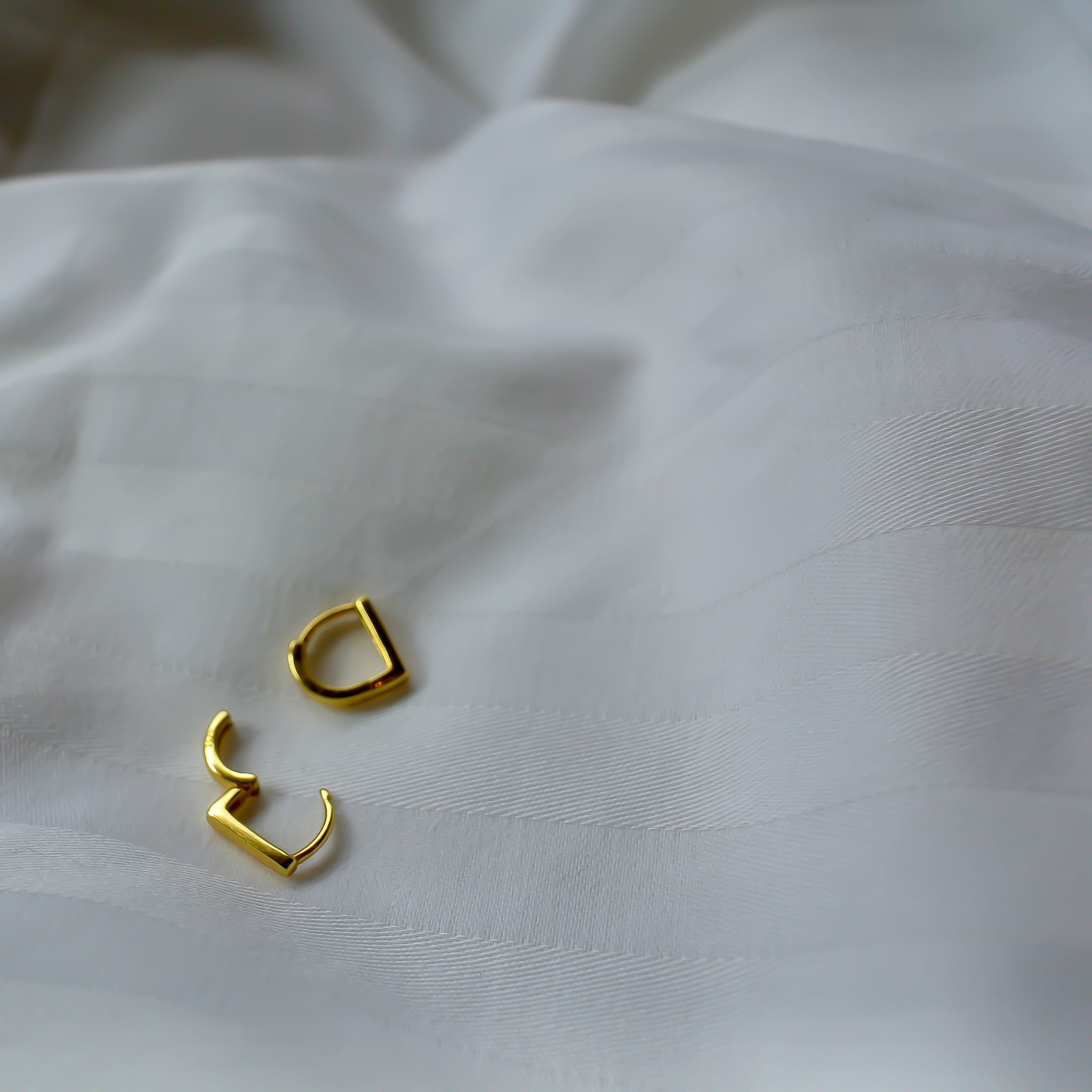 Diderot Earring