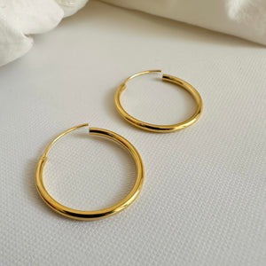 Pasteur mini Earring