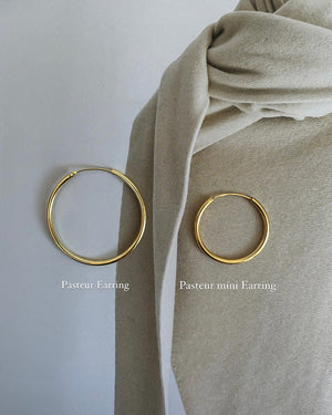 Pasteur mini Earring